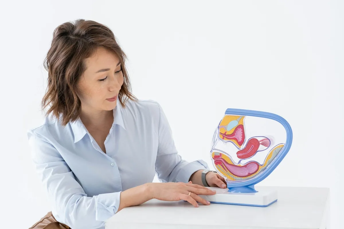 Perempuan berkemeja biru muda meletakkan tangannya di dekat model anatomi panggul perempuan